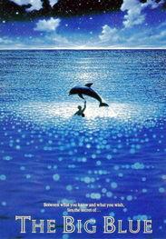 碧海蓝天 在线观看,在线畅享海洋生态之美 第1张 碧海蓝天 在线观看,在线畅享海洋生态之美 第1张